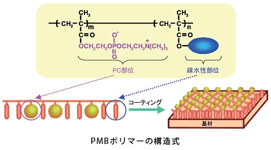 PMBポリマーの構造式